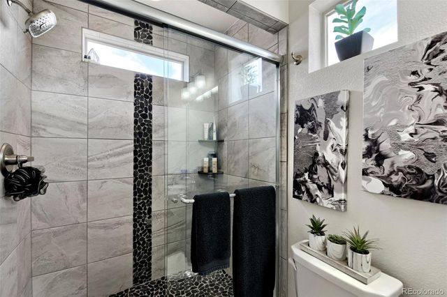 19118 E 54th Place, Denver, CO 80249