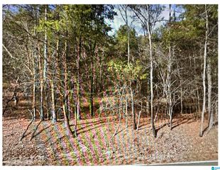 6564 ADVENT CIRCLE, Trussville, AL 35173