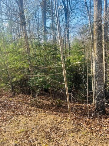 00 Ford Lane, Murphy, NC 28906