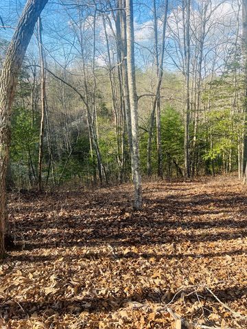 00 Ford Lane, Murphy, NC 28906
