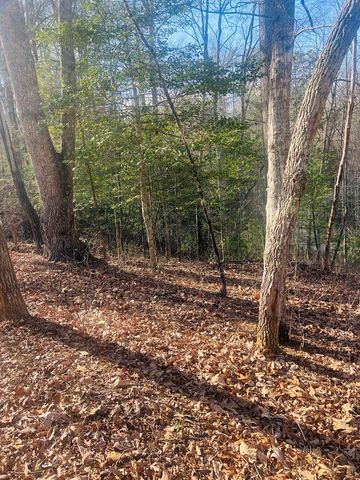 00 Ford Lane, Murphy, NC 28906