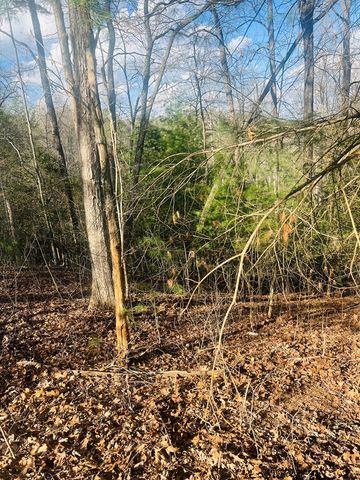 00 Ford Lane, Murphy, NC 28906