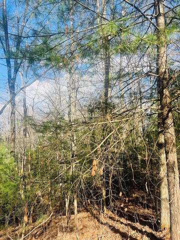 00 Ford Lane, Murphy, NC 28906