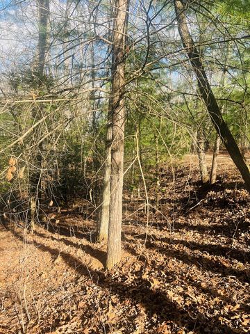 00 Ford Lane, Murphy, NC 28906