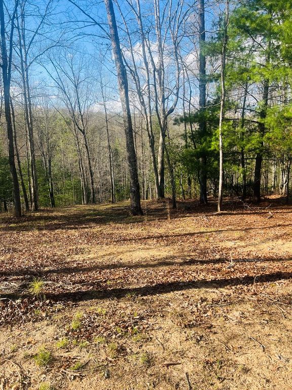00 Ford Lane, Murphy, NC 28906