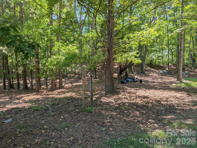 4053 Roddey Road, Catawba, SC 29704