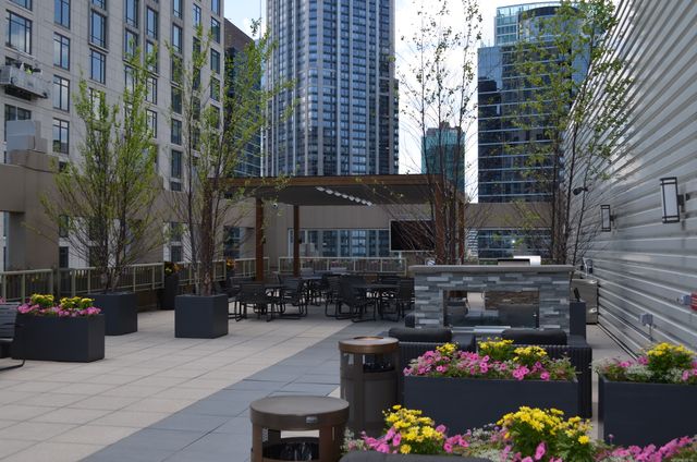 530 N LAKE SHORE Drive 1101, Chicago, IL 60611