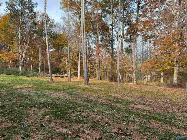 209 Earl Vaughn Drive, Huntsville, AL 35806