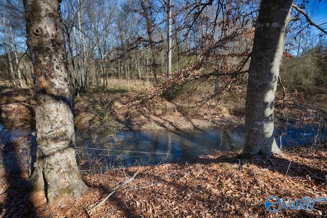 209 Earl Vaughn Drive, Huntsville, AL 35806