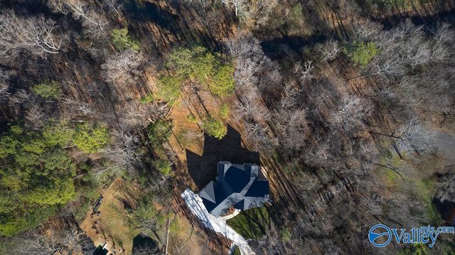 209 Earl Vaughn Drive, Huntsville, AL 35806