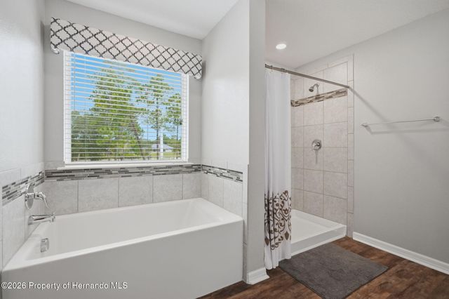 9025 Mazette Road, Weeki Wachee, FL 34613