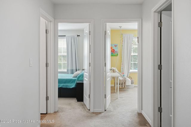 9025 Mazette Road, Weeki Wachee, FL 34613