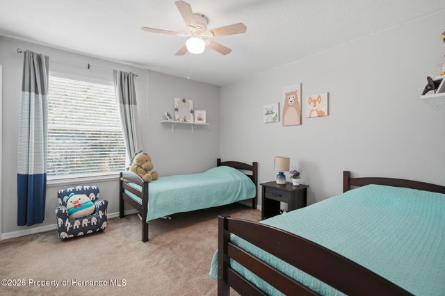 9025 Mazette Road, Weeki Wachee, FL 34613