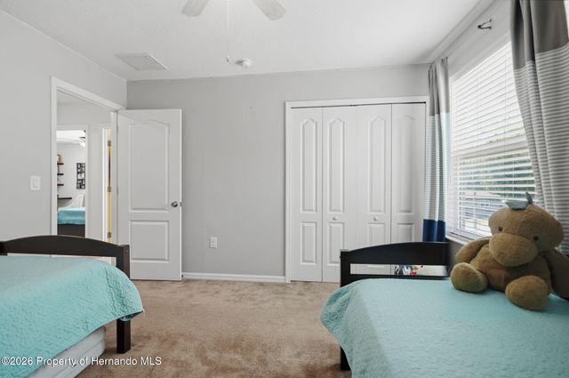 9025 Mazette Road, Weeki Wachee, FL 34613