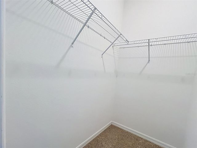 16007 MICELLI DRIVE, Winter Garden, FL 34787