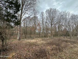 0 Futch Road Road, Forest, MS 39074