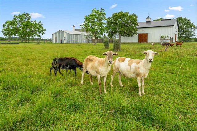 8149 Gordon Denison Road, Iowa, LA 70647