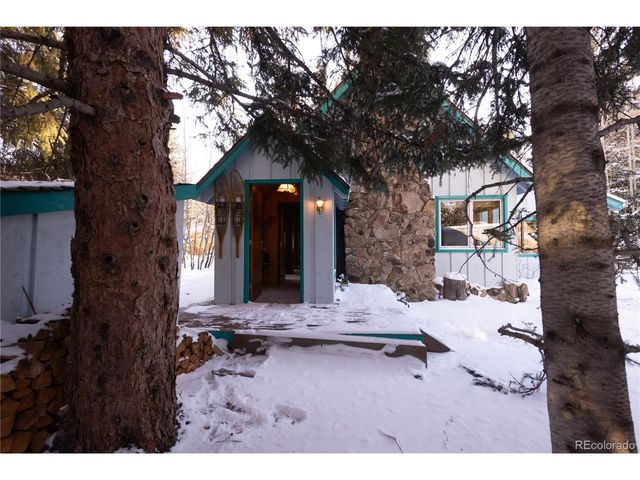 294 Vasquez Rd, Winter Park, CO 80482