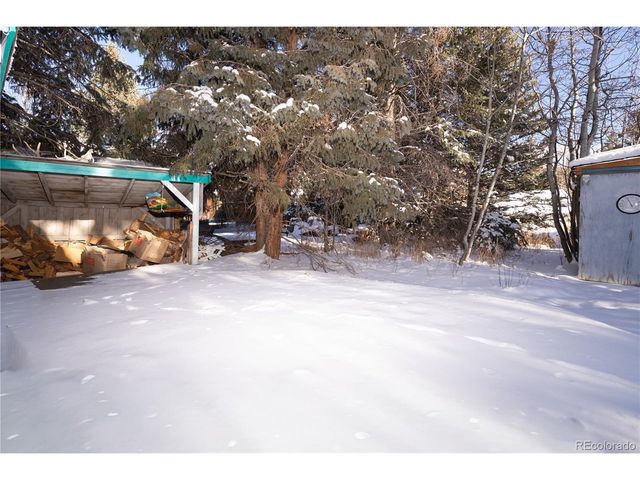 294 Vasquez Rd, Winter Park, CO 80482