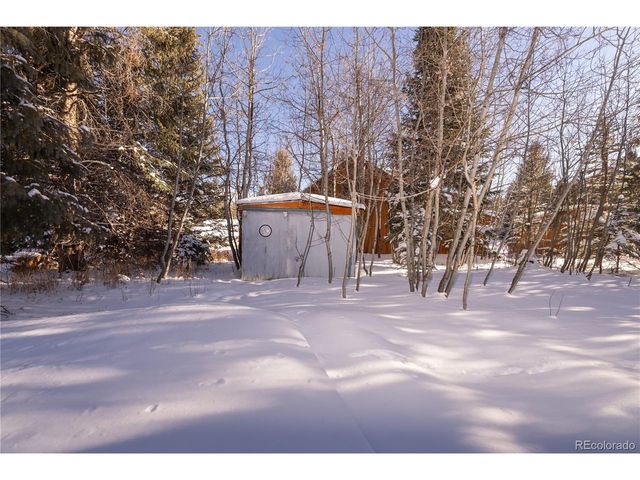 294 Vasquez Rd, Winter Park, CO 80482