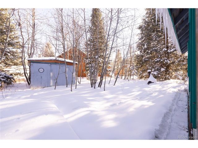 294 Vasquez Rd, Winter Park, CO 80482