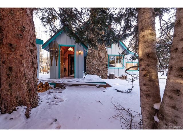 294 Vasquez Rd, Winter Park, CO 80482
