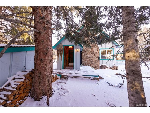 294 Vasquez Rd, Winter Park, CO 80482