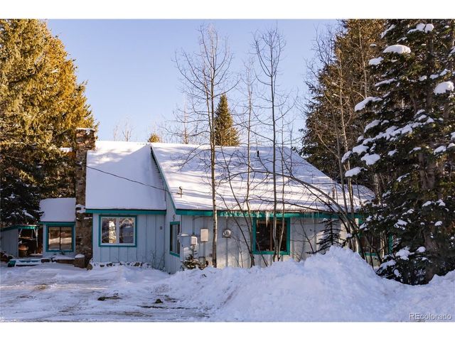294 Vasquez Rd, Winter Park, CO 80482