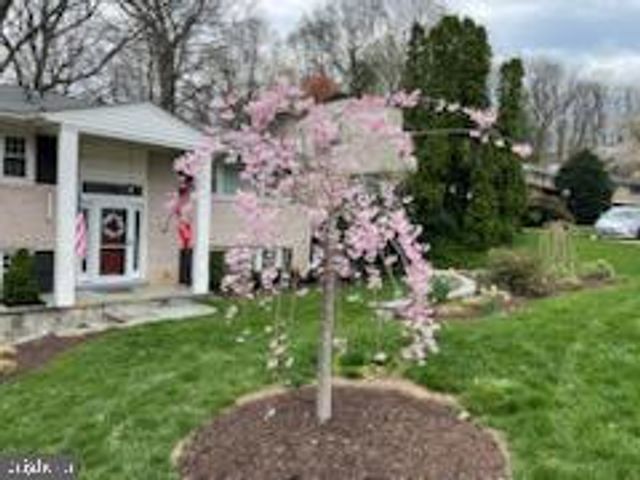 6125 BEECH TREE DR, Alexandria, VA 22310