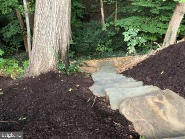 6125 BEECH TREE DR, Alexandria, VA 22310