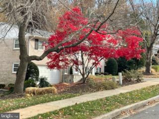 6125 BEECH TREE DR, Alexandria, VA 22310