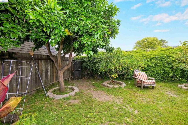 35776 Haley Street, Newark, CA 94560