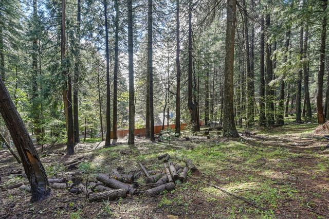 4580 Jenkinson Cir, Pollock Pines, CA 95726