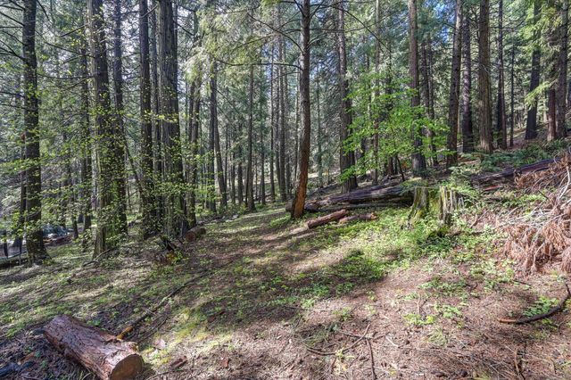 4580 Jenkinson Cir, Pollock Pines, CA 95726