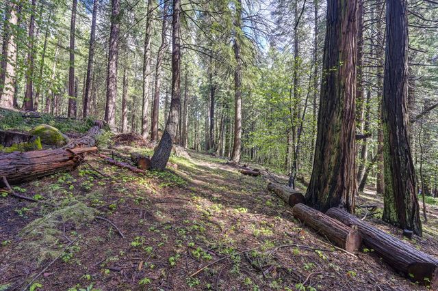 4580 Jenkinson Cir, Pollock Pines, CA 95726