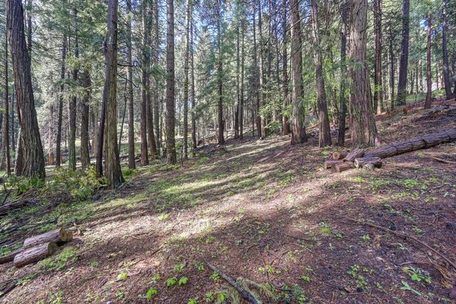 4580 Jenkinson Cir, Pollock Pines, CA 95726