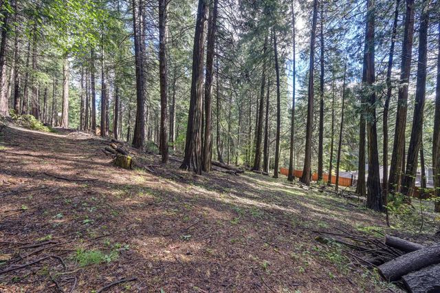 4580 Jenkinson Cir, Pollock Pines, CA 95726