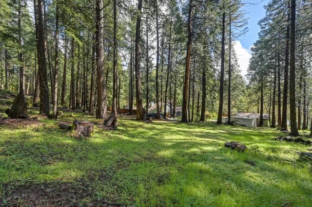 4580 Jenkinson Cir, Pollock Pines, CA 95726