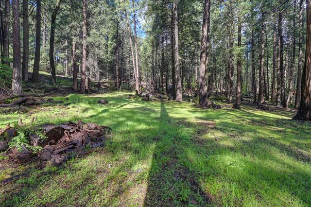 4580 Jenkinson Cir, Pollock Pines, CA 95726