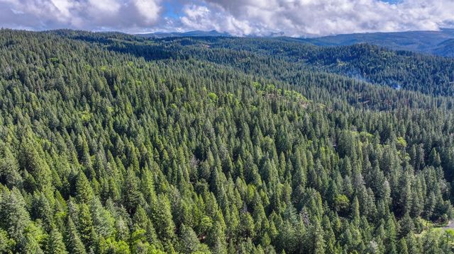 4580 Jenkinson Cir, Pollock Pines, CA 95726