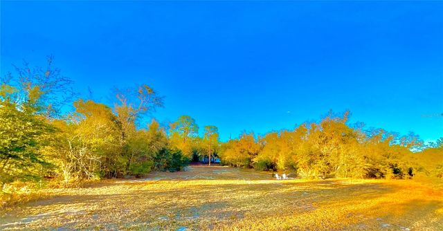 109 SANDPIPER DRIVE, Hawthorne, FL 32640