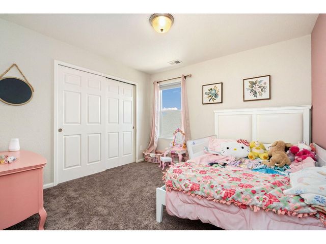 5259 Odessa Lake St, Timnath, CO 80547