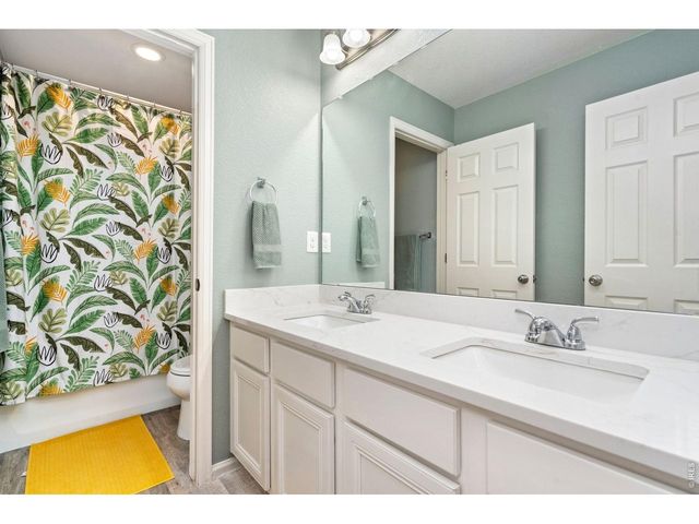 5259 Odessa Lake St, Timnath, CO 80547