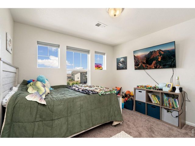 5259 Odessa Lake St, Timnath, CO 80547