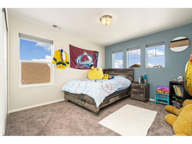 5259 Odessa Lake St, Timnath, CO 80547