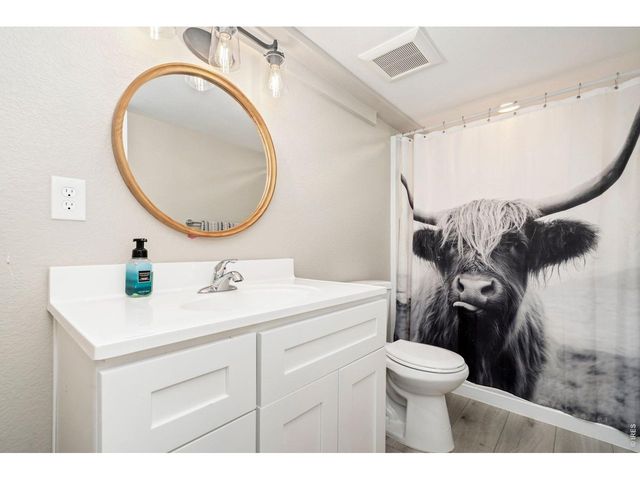 5259 Odessa Lake St, Timnath, CO 80547