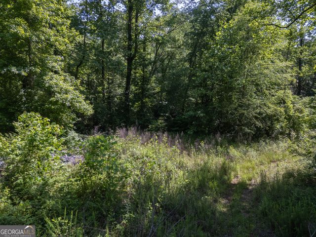 440 Joe Franklin Road, Sautee Nacoochee, GA 30571