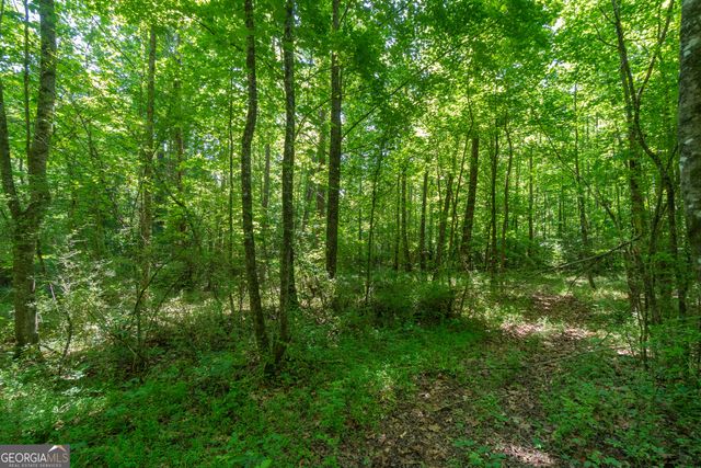 440 Joe Franklin Road, Sautee Nacoochee, GA 30571