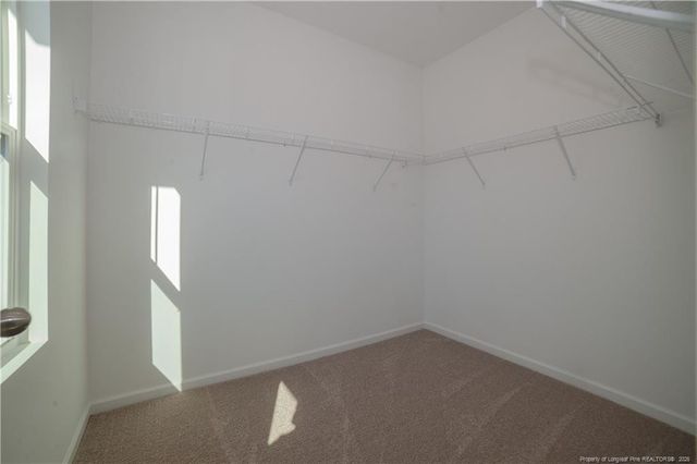 246 Tormore Drive, Sanford, NC 27330