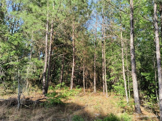 TBD NW 141ST AVENUE, Williston, FL 32696